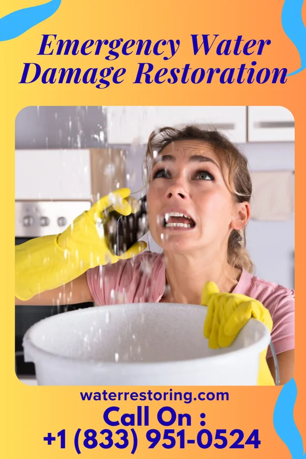 Emergency Water Damage Restoration in St. Francisville, MO