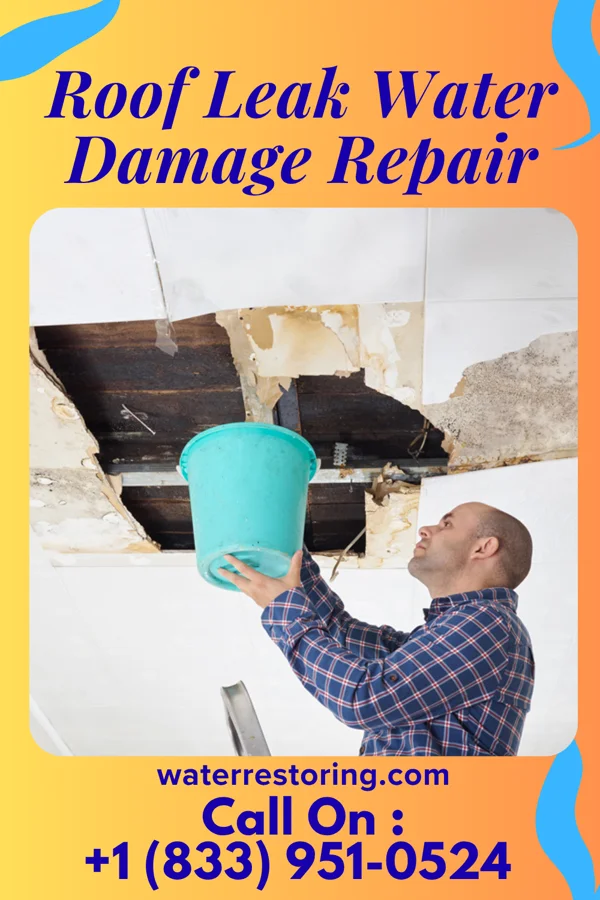Roof Leak Water Damage Repair in St. Francisville, MO